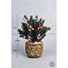 Biçiçek Koki̇na Bi̇tki̇si̇ 35 Cm Hasir Saksida 48 Meyveli̇ Yilbaşi Bi̇tki̇si̇