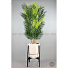 Biçiçek Yapay Areka Palmi̇yesi̇ 6 Gövde Gala Saksida Yoğun Yaprakli 2
