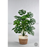 Biçiçek Yapay Monstera Deve Tabanı 65-70 Cm Hasir3