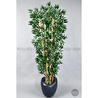 Biçiçek Zen Bambu Ağacı 220-240 Cm Fiber Saksıda Grifiber2