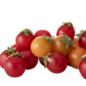 Mudo Home Yapay Paket Domates