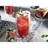 Zwilling Sorrento Çift Camlı 2li Soğuk İçecek Bardağı Seti - 474 Ml