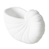 Mudo Home White Shell Vazo 21x10x15 Cm