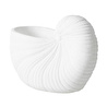 Mudo Home White Shell Vazo 26x13x19 Cm