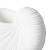 Mudo Home White Shell Vazo 26x13x19 Cm