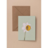 The Mia Art Line Mini Tebrik Kart Seti Daffadil 10 X 14 Cm