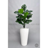 Biçiçek 130 Cm Monstera Bi̇tki̇si̇ Beyaz Li̇lyum Saksida