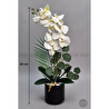 Biçiçek Yapay Phalaenopsis Orkide Buyuk Boy