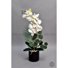 Biçiçek Yapay Phalaenopsis Orkide Buyuk Boy