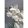 Biçiçek Yapay Phalaenopsis Orkide Buyuk Boy
