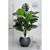 Biçiçek Monstera Bitkisi 65 Cm Küre Saksıda