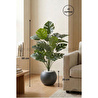 Biçiçek Monstera Bitkisi 65 Cm Küre Saksıda
