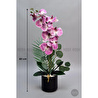 Biçiçek Yapay Phalaenopsis Orkide Buyuk Boy