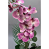 Biçiçek Yapay Phalaenopsis Orkide Buyuk Boy