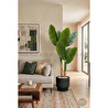 Biçiçek 160 Cm Yapay Starlice Ağacı Gala Saksıda