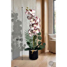 Biçiçek Yapay Phalaenopsis Orkide Buyuk Boy