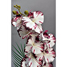 Biçiçek Yapay Phalaenopsis Orkide Buyuk Boy