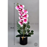 Biçiçek Yapay Phalaenopsis Orkide Buyuk Boy