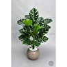 Biçiçek Monstera Bitkisi 65 Cm Küre Saksıda
