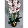 Biçiçek Yapay Phalaenopsis Orkide Buyuk Boy