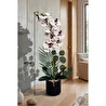 Biçiçek Yapay Phalaenopsis Orkide Buyuk Boy
