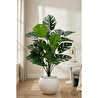 Biçiçek Monstera Bitkisi 65 Cm Küre Saksıda