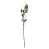 Mudo Home Berry Dal Çi̇çek 75cm