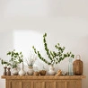 Mudo Home Daphne Dekorati̇f Kase 32x32x12cm