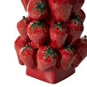 Mudo Home Strawberry Mumluk 17x1x734cm