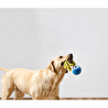 Tchibo Köpek Fırlatma Ve Su Oyuncağı