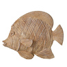Mudo Home Pearla Bi̇blo 35x27 Cm