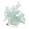 Mudo Home Colar Bi̇blo 25x16*27cm