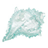 Mudo Home Ocean Shell Bi̇blo 20x16x12 Cm