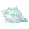 Mudo Home Ocean Shell Bi̇blo 20x16x12 Cm