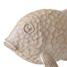 Mudo Home Laguna Bi̇blo 31x22 Cm