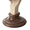 Mudo Home Brown Horse Bi̇blo 40x18x37 Cm