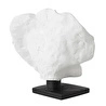 Mudo Home White Mercan Bi̇blo 31x14x20 Cm