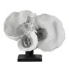Mudo Home White Mercan Bi̇blo 31x14x20 Cm