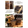 Vienev Renkli Etiketli 6lı Peggy Dikdörtgen Saklama Kabı Seti 400 Ml Antrasit
