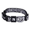 Bloominbag Swissplus Urban Paws Zebra Noir Recycled Köpek Tasması - 15 Mm