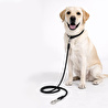 Bloominbag Polypropylene Rope Leash - 11mm/180cm