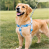 Bloominbag Swissplus Urban Paws Blue Batic Geri Dönüştürülmüş H-tipi Köpek Göğüs Tasması-2xs