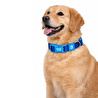 Bloominbag Swissplus Urban Paws Köpek Tasması – Deep Ocean Blue | Ayarlanabilir, Dayanıklı, Hafif-20mm
