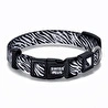 Bloominbag Swissplus Urban Paws Zebra Noir Recycled Köpek Tasması - 20 Mm