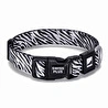 Bloominbag Swissplus Urban Paws Zebra Noir Recycled Köpek Tasması - 20 Mm