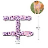 Bloominbag Swissplus Urban Paws Pink Leo Geri Dönüştürülmüş H-tipi Köpek Göğüs Tasması-l