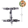 Bloominbag Swissplus Urban Paws Zebra Black Geri Dönüştürülmüş H-tipi Köpek Göğüs Tasması-xs