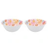 Lucky Art Florista Melamin Salata Kase Seti 18cm (2'li)