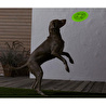 Tchibo Köpekler İçin Frizbi