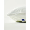 Bella Maison %100 Pamuk Ranforce Blueberry Çift Kişilik Nevresim Seti (200x220 Cm) Çok Renkli